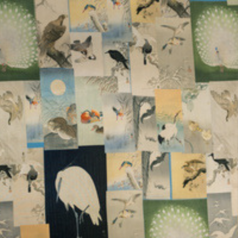 Fabric Image