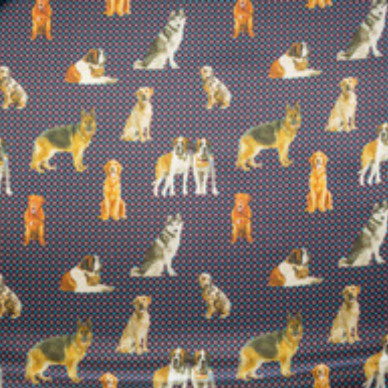 Fabric Image